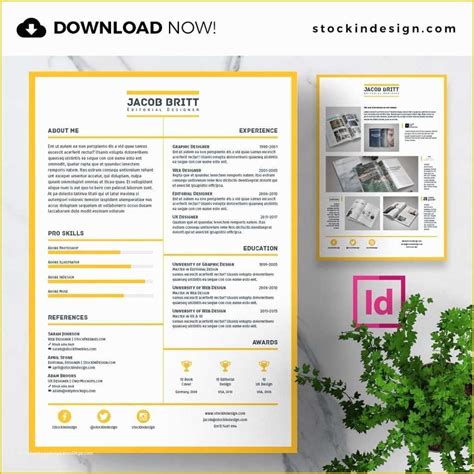 Image result for Template Resume Simple InDesign