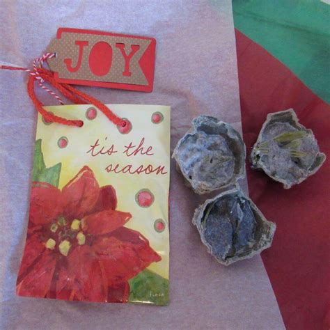 Image result for Easy Fire Starters