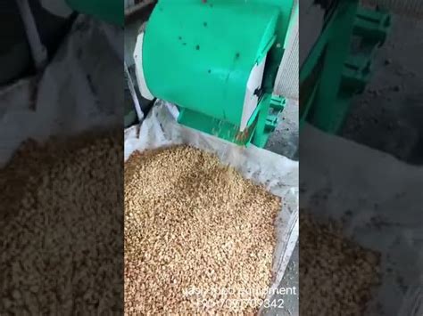 Food Processing Machine - Peanut Red Skin Removing Machine Trader ...