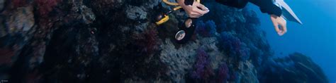 Dive into Discovery: PADI Discover Scuba Diving in Padang Bai, Bali ...