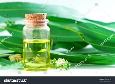 Eucalyptus Oil: Uses, Benefits, Side effects By Dr. Smita Barode ...