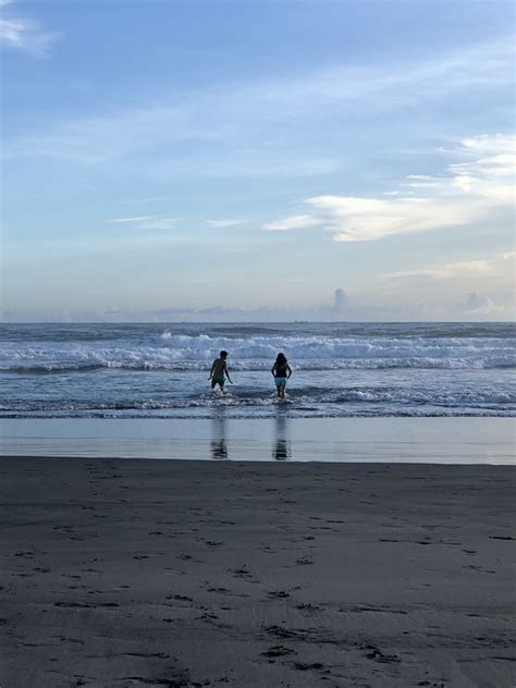 Swim in Sea 的图像结果