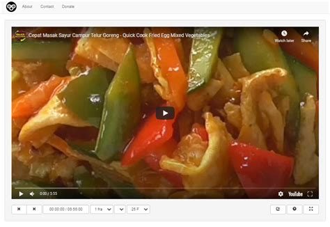 Video Frame Tutorial 的图像结果