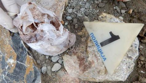 ZAPLENJENO VIŠE OD 25 KILOGRAMA DROGE: U dve akcije policije uhapšene ...