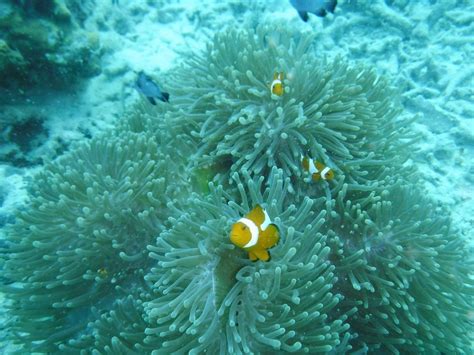 TARVIS DIVE CENTER - All You Need to Know BEFORE You Go (with Photos ...