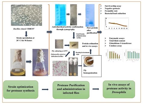 OnlineFirst:Jabonline