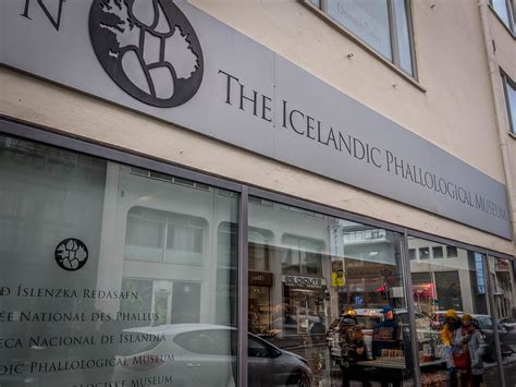 Icelandic Phallological Museum – Planeta.com
