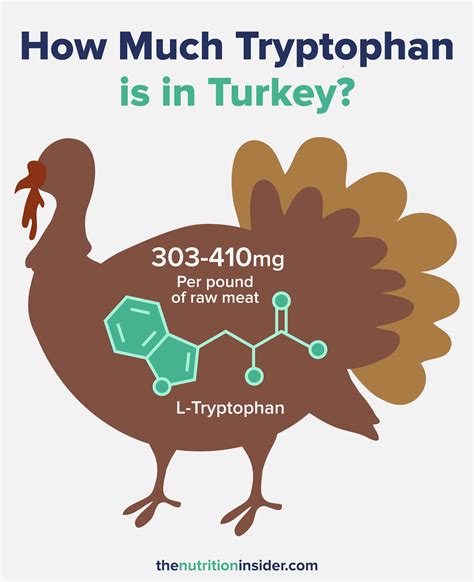 Why Does Turkey Make You Sleepy
