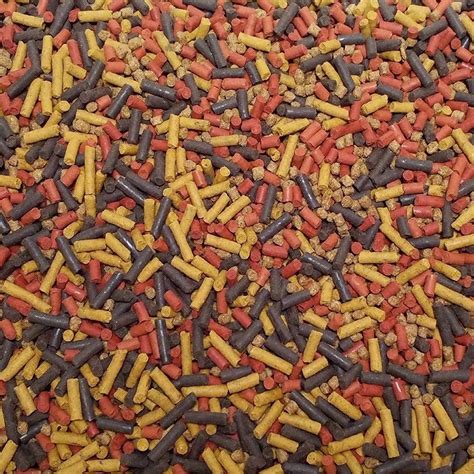 Buy Aquatic Foods Stick & Pellet Blend for Cichlids, Carnivores ...