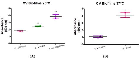 Study of Ecological Relationship of Yeast Species with Candida albicans ...
