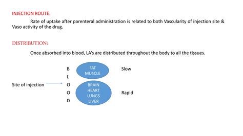 Local Anesthesia Examples 的图像结果