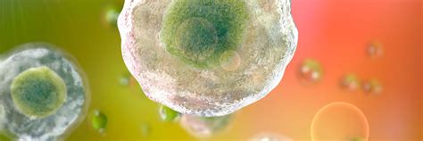 Efficient multiplexed targeted gene editing as a strategy to generate ...