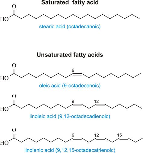 Omega Fatty Acids Structure at Jamie Spinelli blog