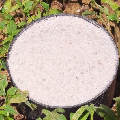 Plantsab Perlite Powder for Gardening,Mixture of Granules 150gm Potting ...