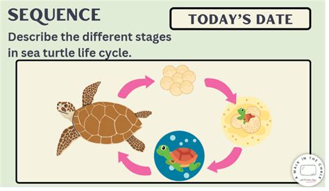 Image result for Show Some Topic About Language Function