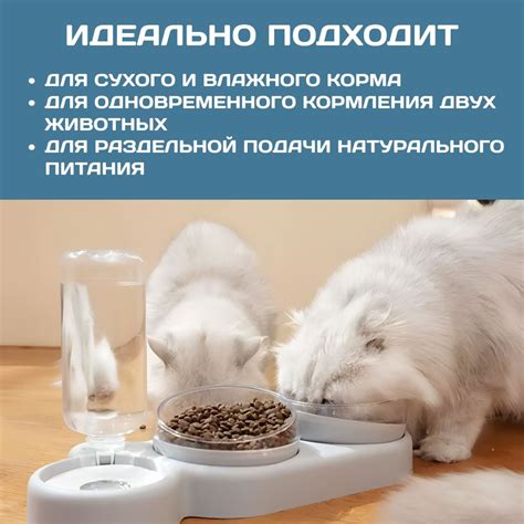 Миска для кошек, и автопоилка, двойная, на подставке, автоматическая ...
