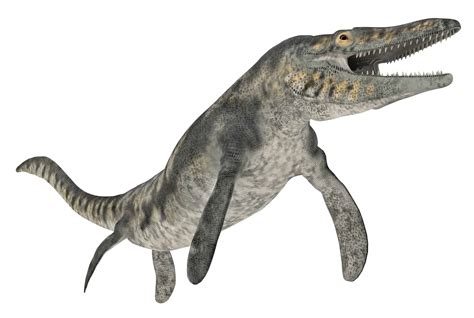 Image result for Mosasaurus