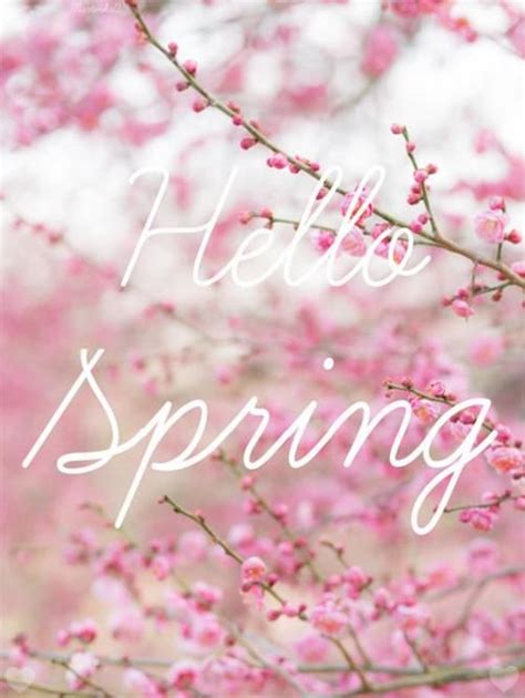 Image result for Hello Spring Scene