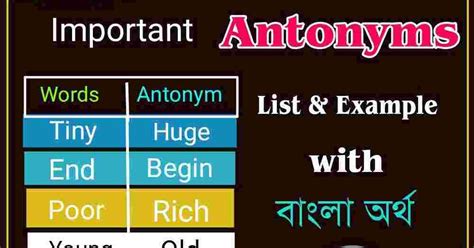 Important Antonyms List with Bengali Meaning and Example PDF - সফলতার ...