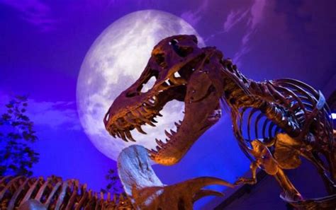 Calculan la fuerza explosiva de una mordida de Tiranosaurio Rex | EL ...