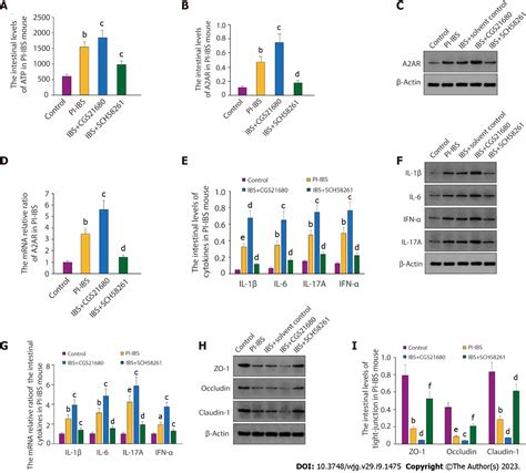 Adenosine 2A receptor contributes to the facilitation of post-infectious irritable bowel ...