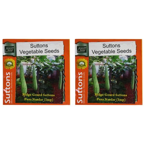 Suttons Ridge Gourd Pusa Nasdar Seeds | Set of 2 (VG702) : Amazon.in ...