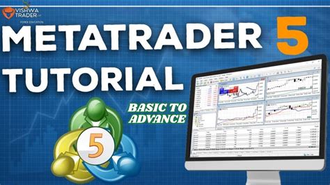 Image result for Meta5trading Tutorial