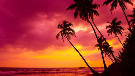 French Polynesia to welcome tourists from July 15 | TimesTravel