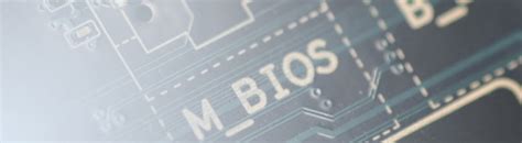 BIOS Firmware 的图像结果