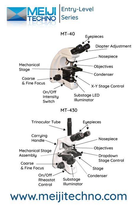 Microscope Terminology 的图像结果