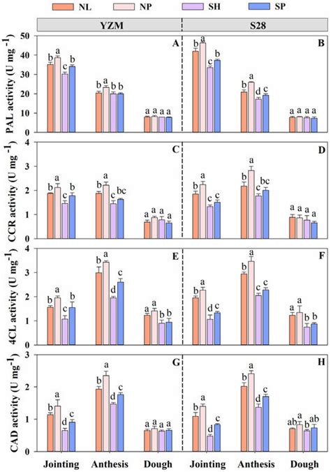 Characteristics of Lodging Resistance of Wheat Cultivars from Different ...