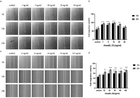 Recombinant Expression of Human IL-33 Protein and Its Effect on Skin ...
