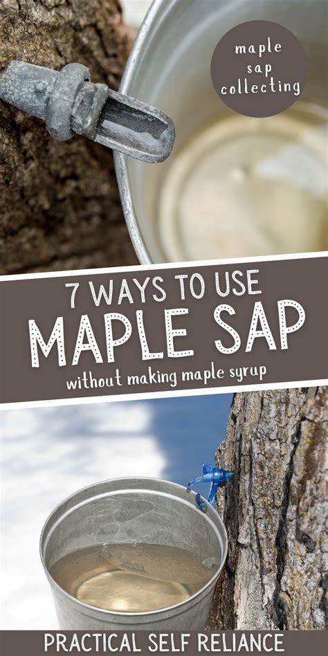 Image result for Homemade Maple Syrup Taps