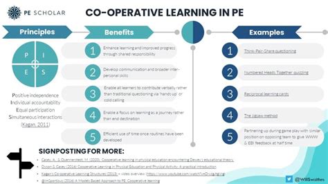Co-operative Learning Examples 的图像结果