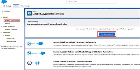 Image result for API Information Table MuleSoft