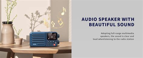 Choyong A8W Portable Smart Internet Radio Receiver WIFI/4G Radio ...