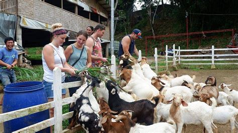 FARMSHARE AGRI TOURISM PARK (2024) All You Need to Know BEFORE You Go ...