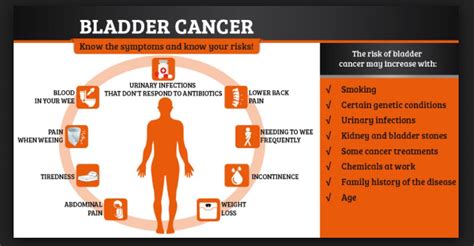 Bladder Cancer 的图像结果