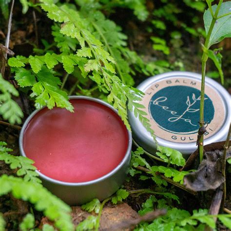 Seeds of Care | Beeja Botanicals