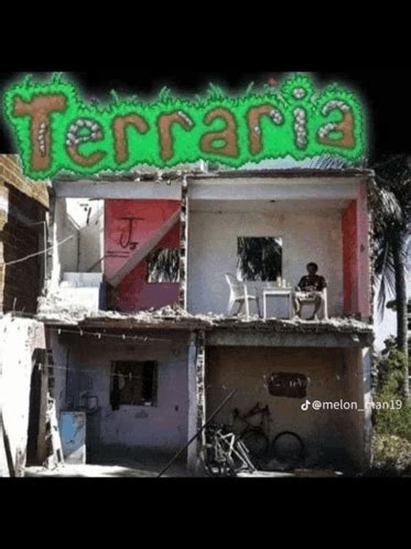 Image result for Terraria Animation Meme