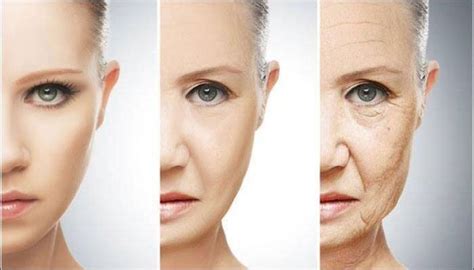 Chinese scientists identify genetic pathway in ageing | Health News ...