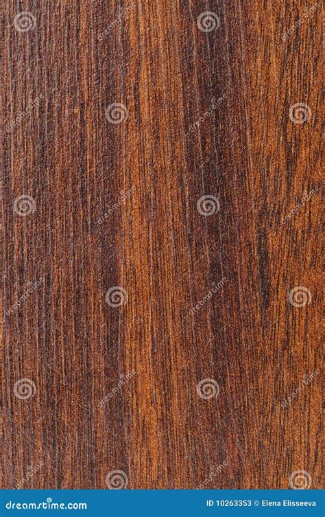 Pre-finished Hardwood Floor Sample Stock Image - Image of plank, golden ...