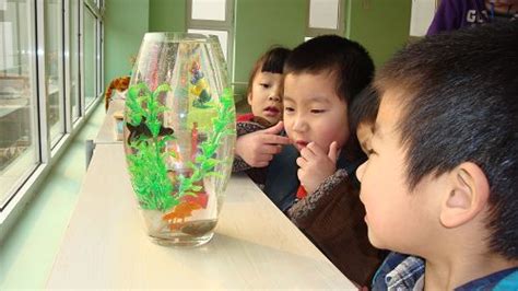 鱼儿游啊游（苏州园） - 未来强者婴幼儿智力开发园