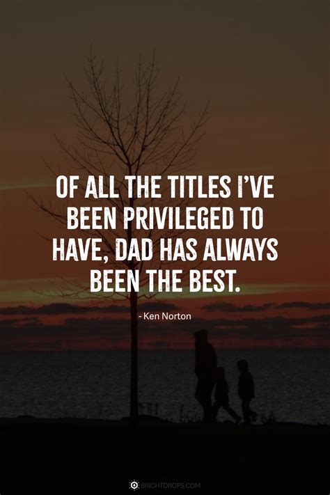 58 Dad Quotes to Express What He Means to You - Bright Drops