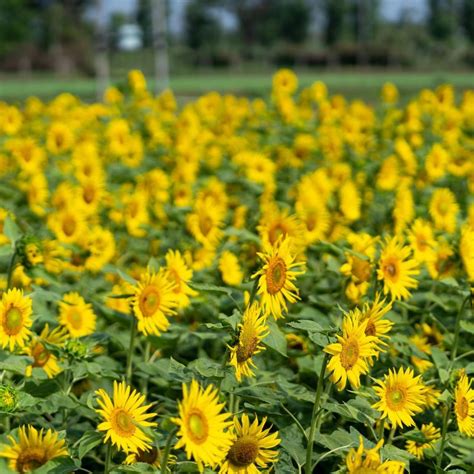 Queer Bookstores Around The World's Capitals