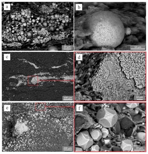 Pyrite Morphology and δ34S as Indicators of Deposition Environment in ...