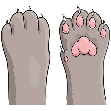Draw Cat Paws Tutorial 的图像结果