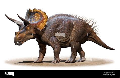 Image result for CT Spatial Resolution Line Pattern