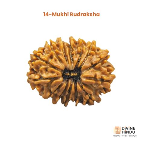 Divine Hindu - Religious & Spiritual Products