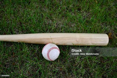 Baseball Bat and Ball 的图像结果
